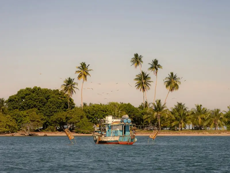 Delft island wild horses ruins Jaffna Sri Lanka