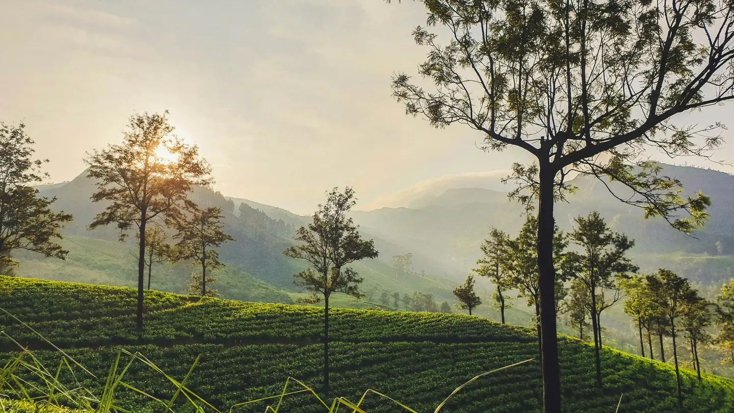 Best Time to Visit Sri Lanka