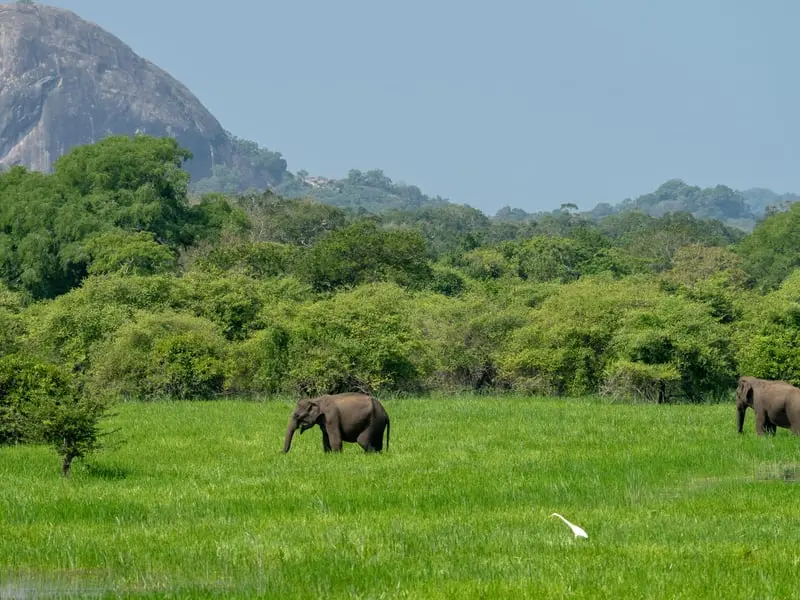 Kumana National Park