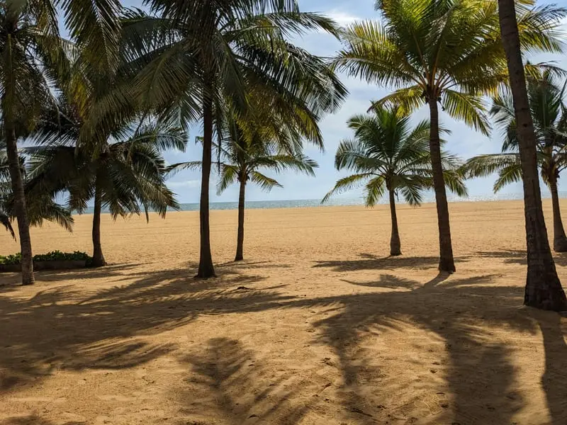 Negombo airport arrival Sri Lanka visa