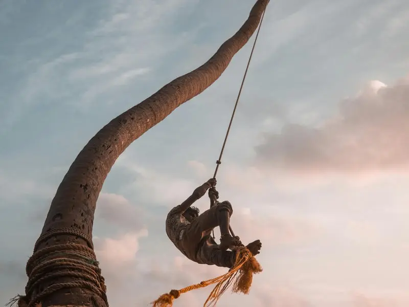 Rope Swings & Cliff Jumps