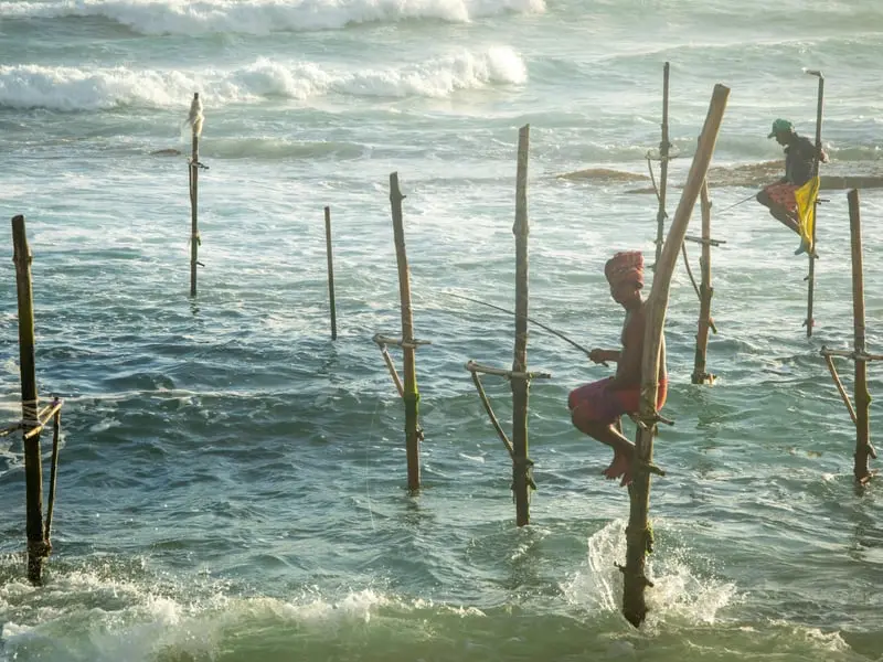 Stilt Fishing