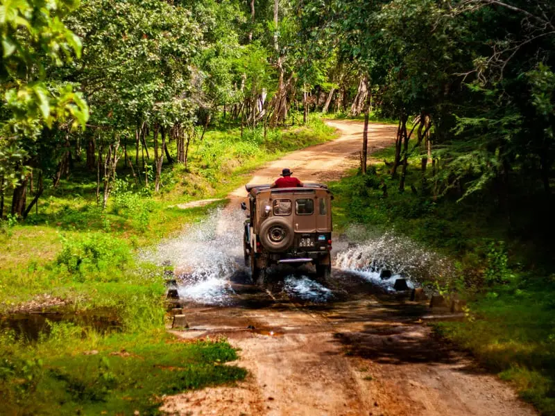 Wilpattu